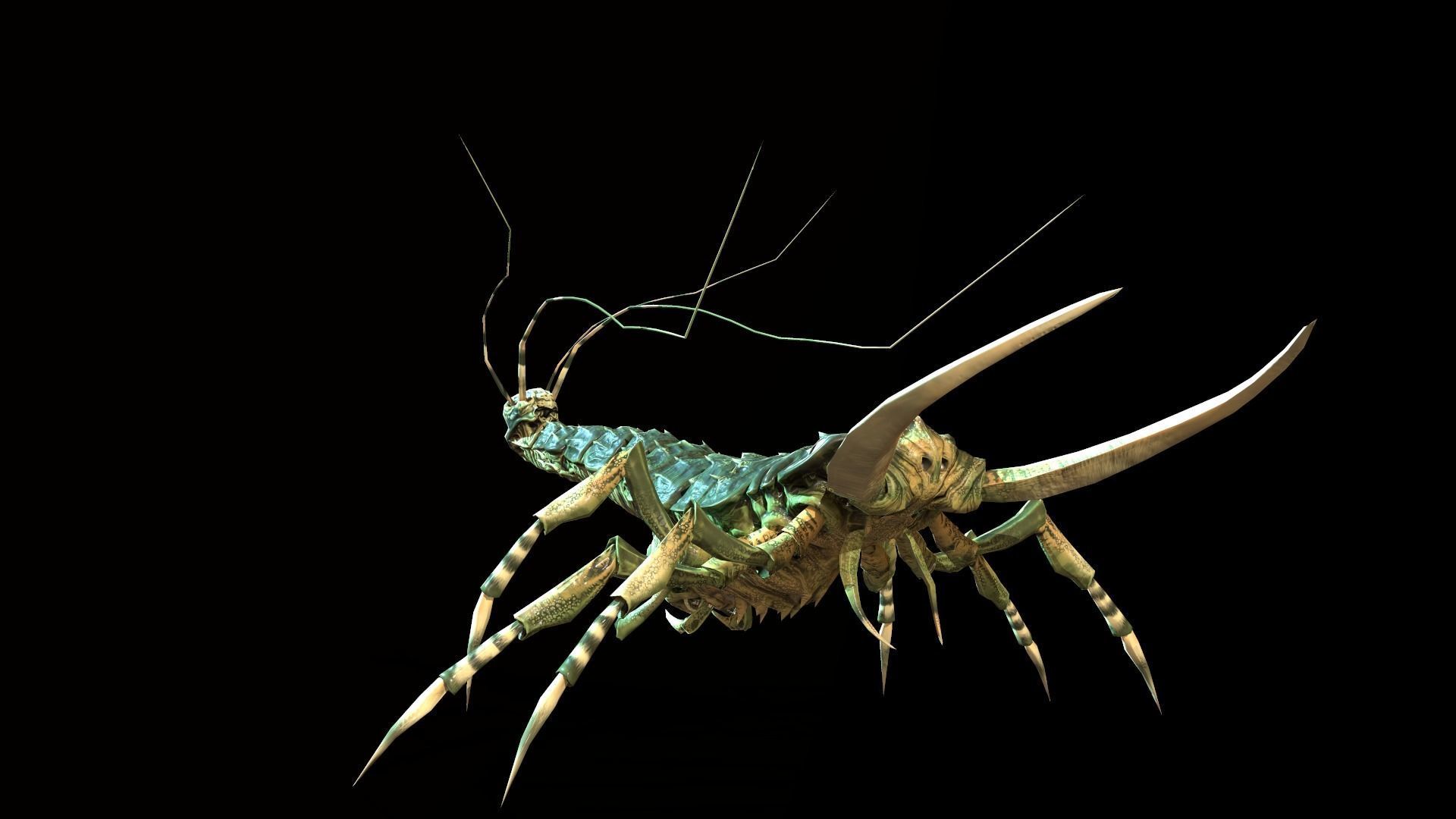 LandBug4 shrimp Low-poly 3D model_4