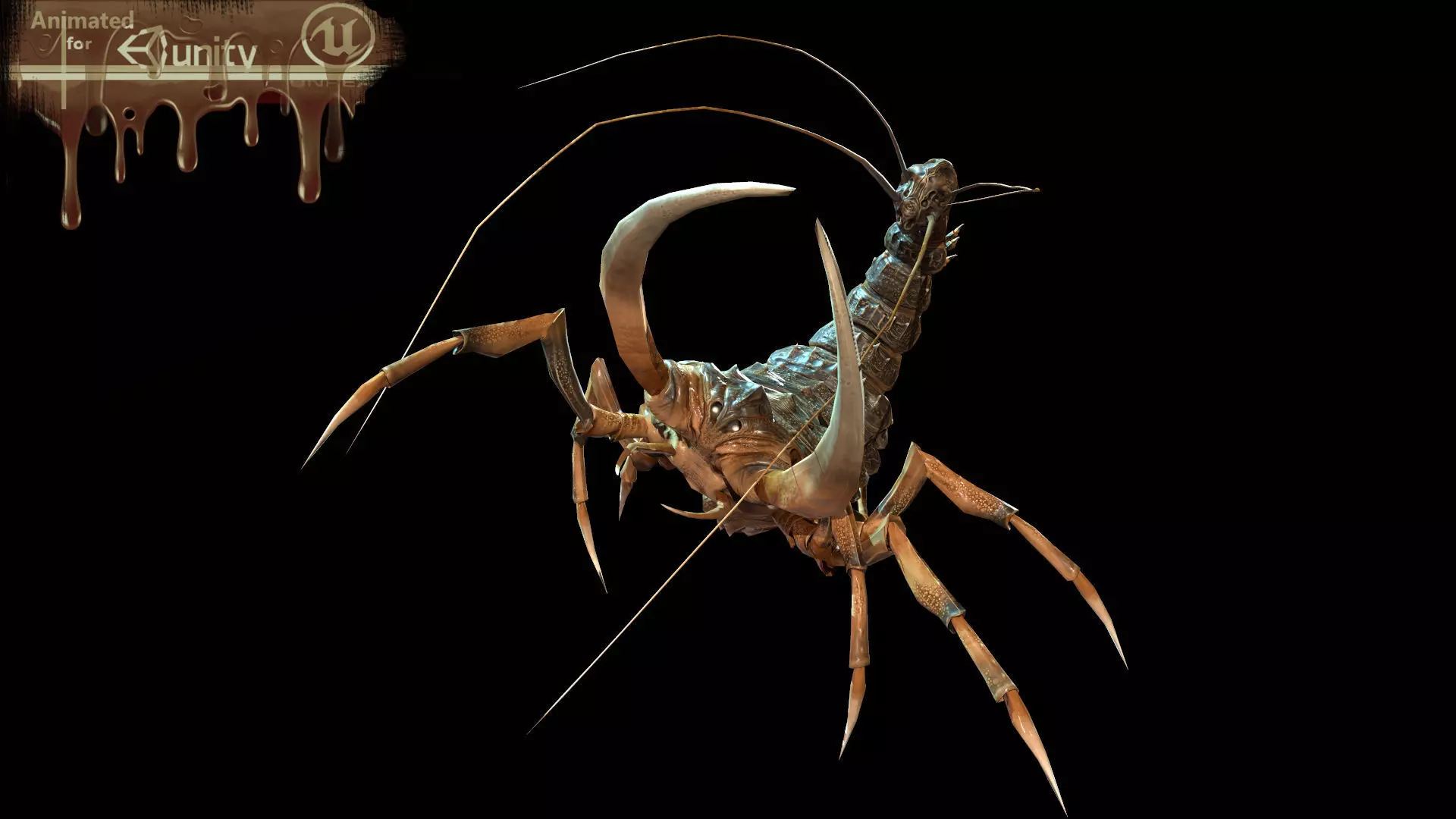 LandBug4 shrimp Low-poly 3D model_0
