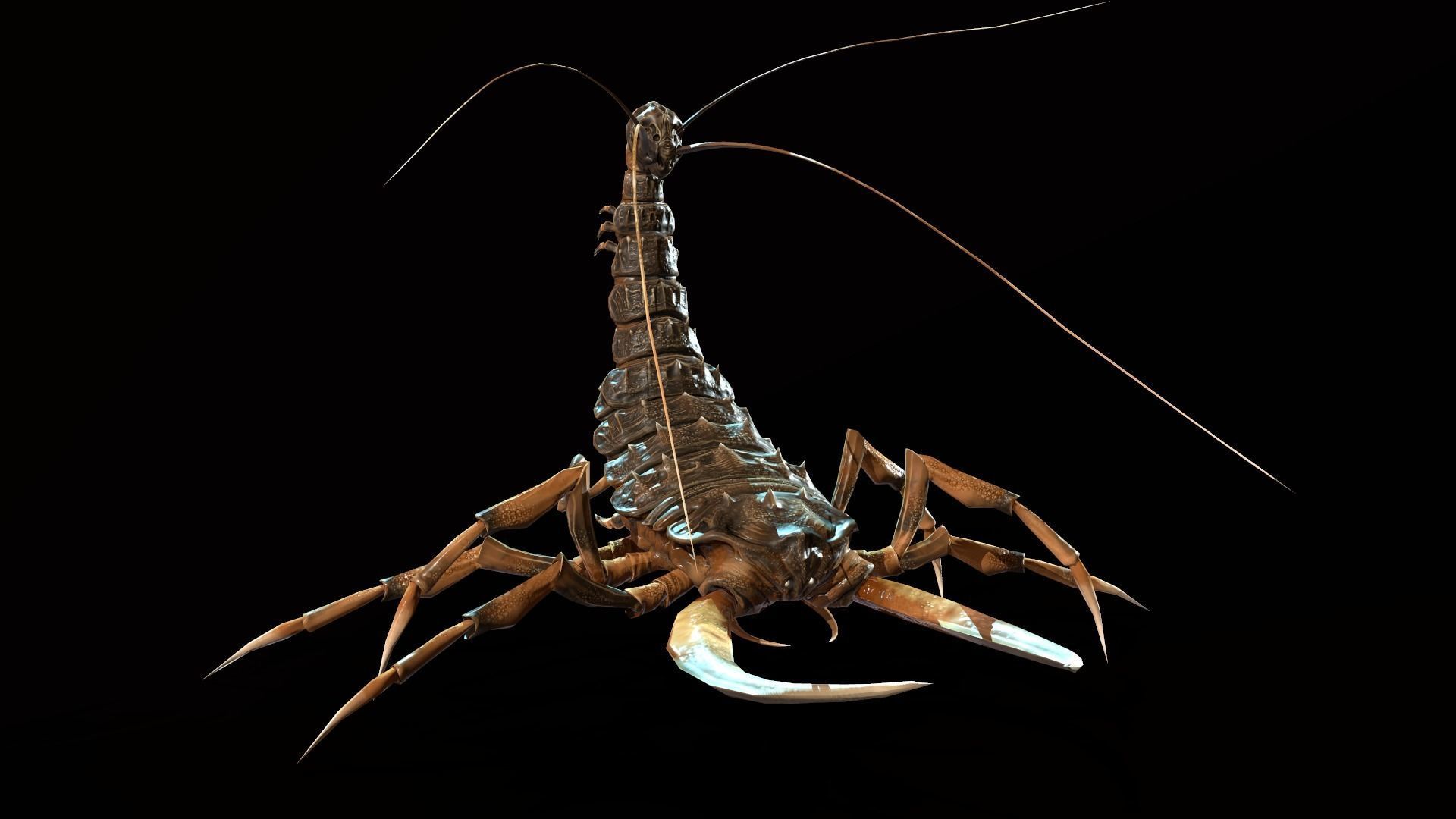 LandBug4 shrimp Low-poly 3D model_10