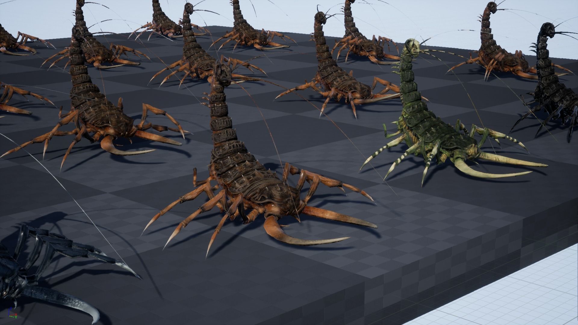 LandBug4 shrimp Low-poly 3D model_6