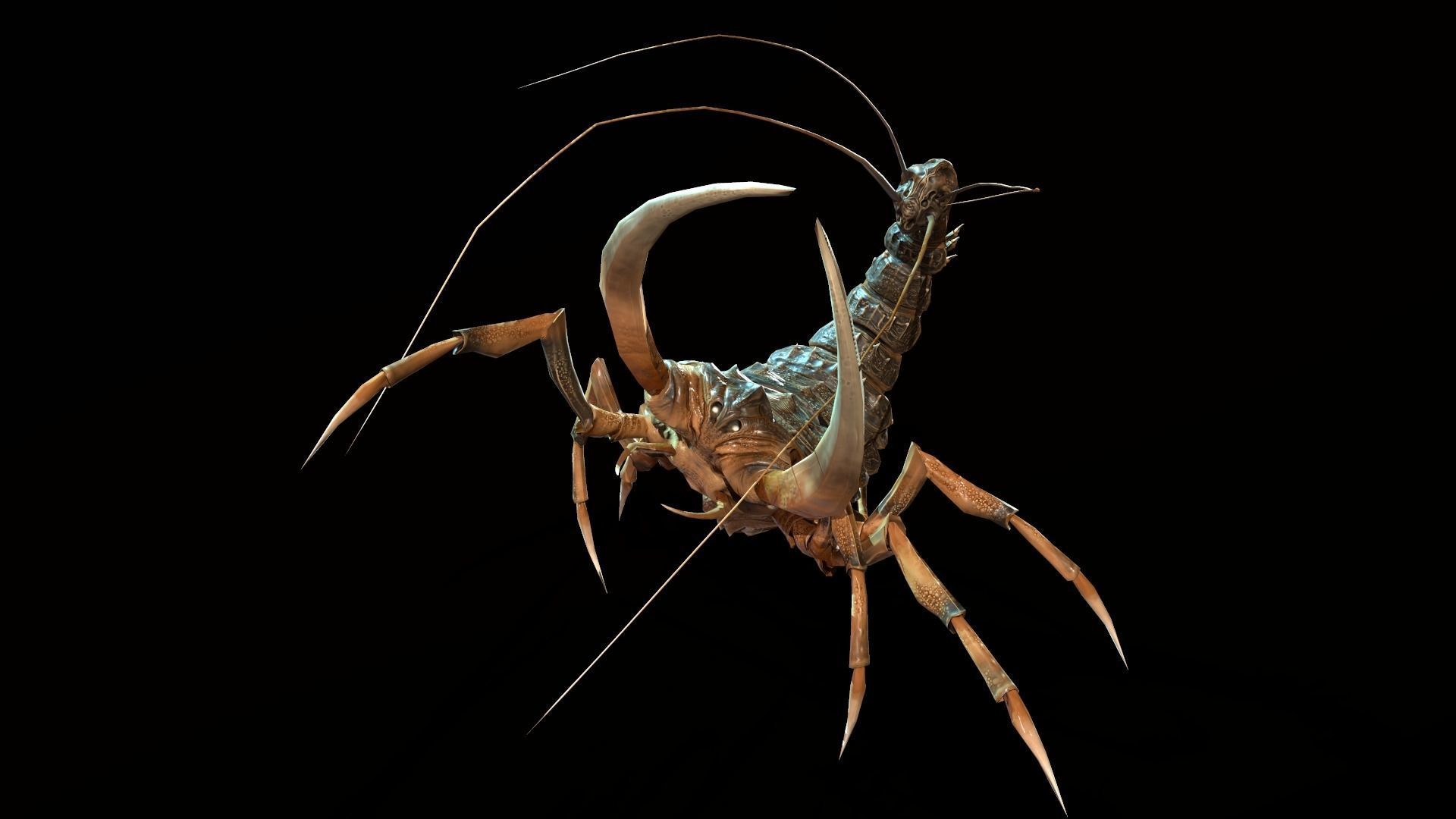 LandBug4 shrimp Low-poly 3D model_9