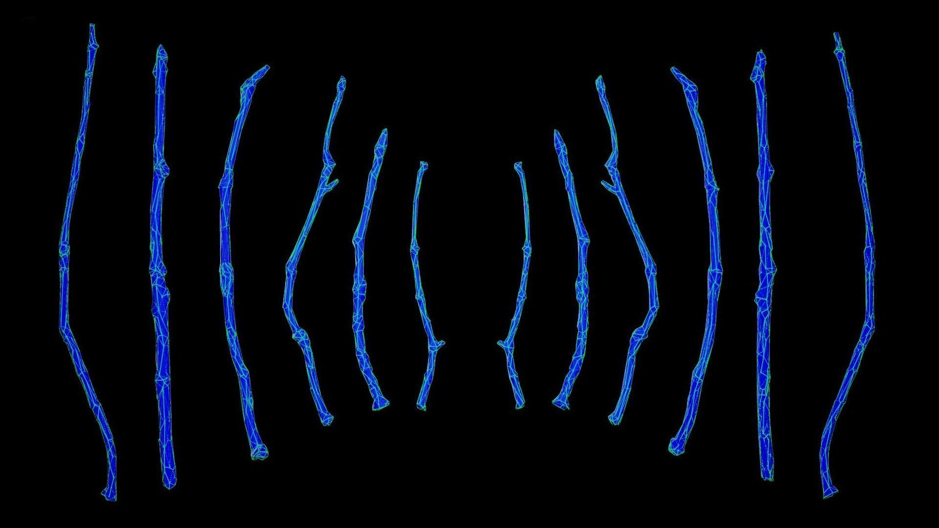 Oak Branches 4K Photoscanned Low-poly 3D model_14