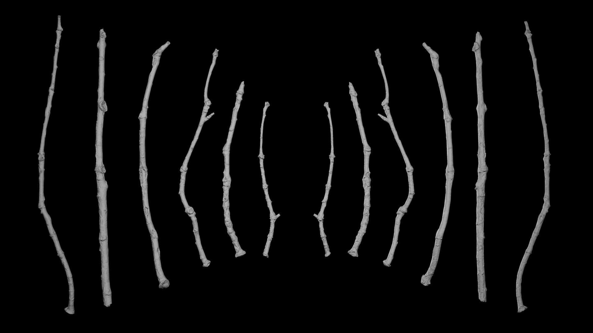 Oak Branches 4K Photoscanned Low-poly 3D model_7