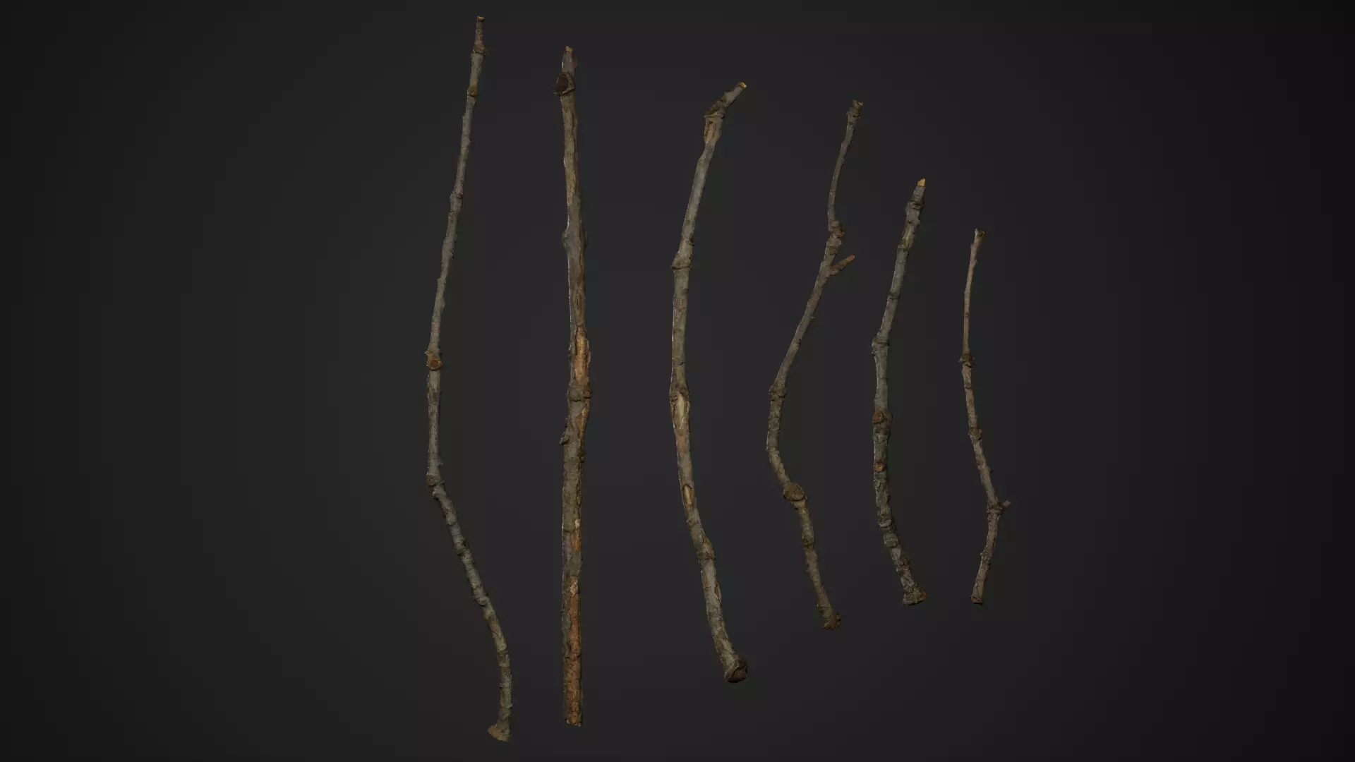 Oak Branches 4K Photoscanned Low-poly 3D model_0