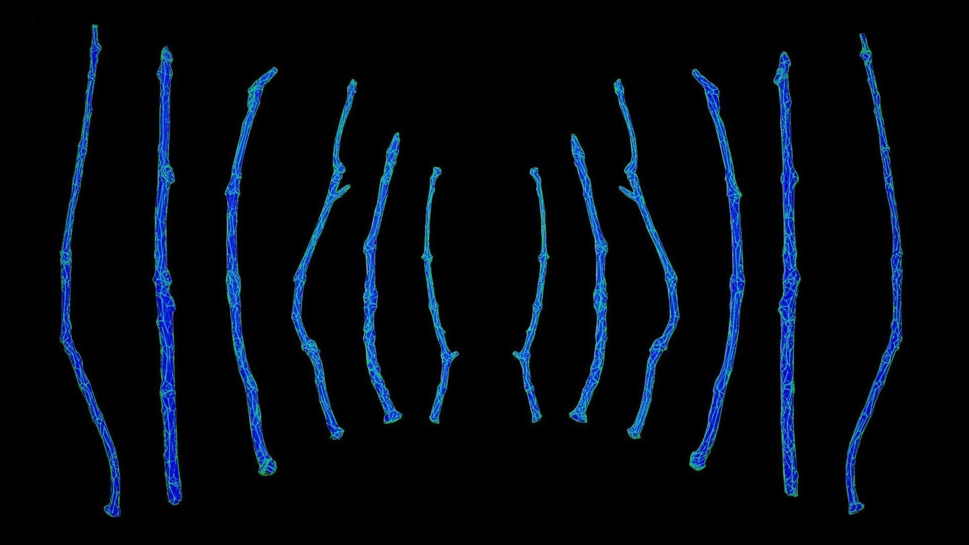 Oak Branches 4K Photoscanned Low-poly 3D model_13