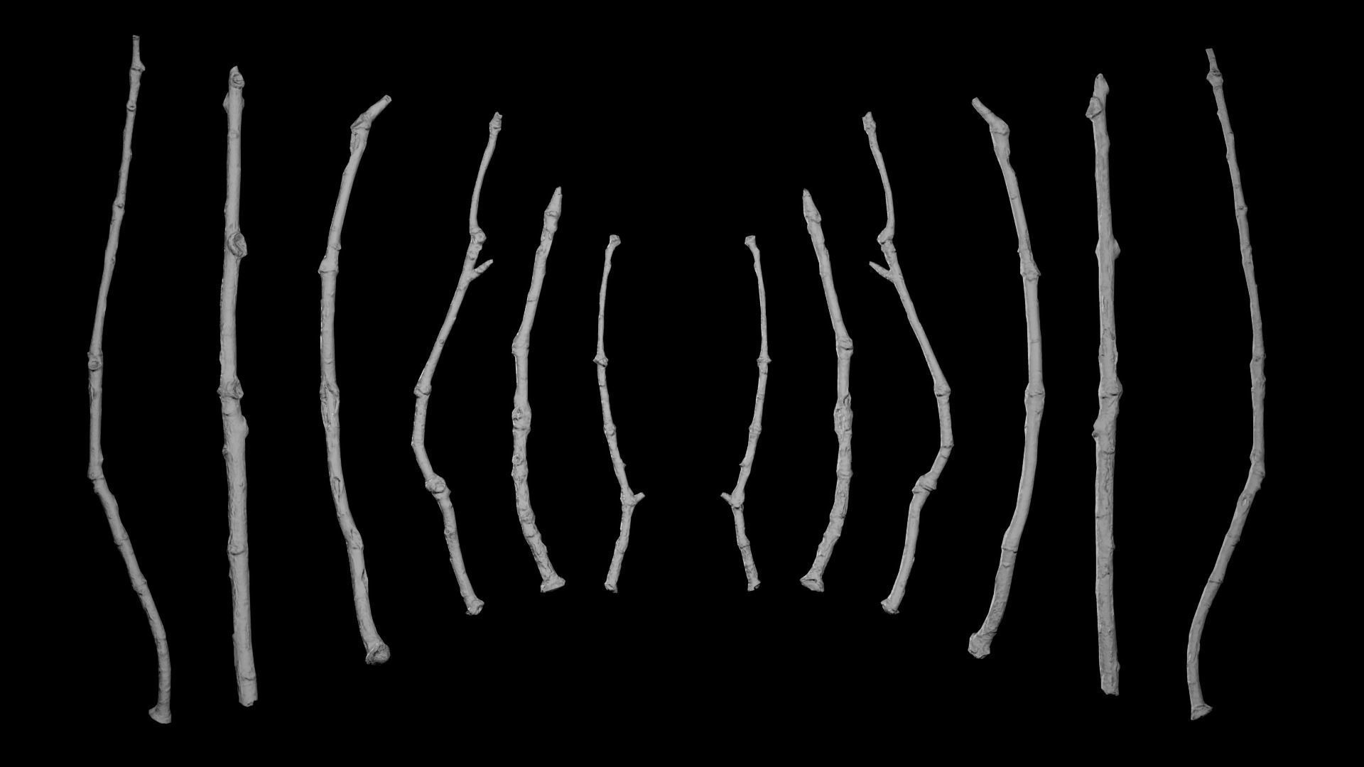 Oak Branches 4K Photoscanned Low-poly 3D model_8