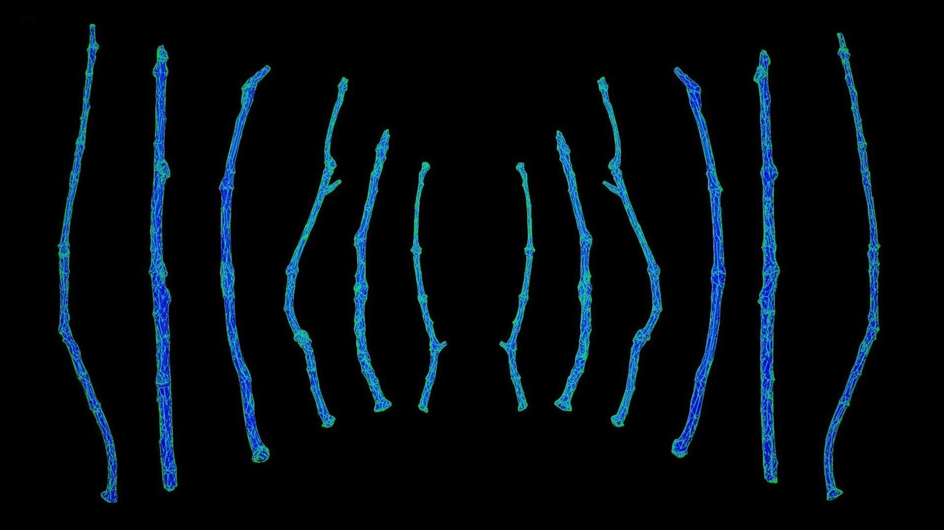 Oak Branches 4K Photoscanned Low-poly 3D model_12