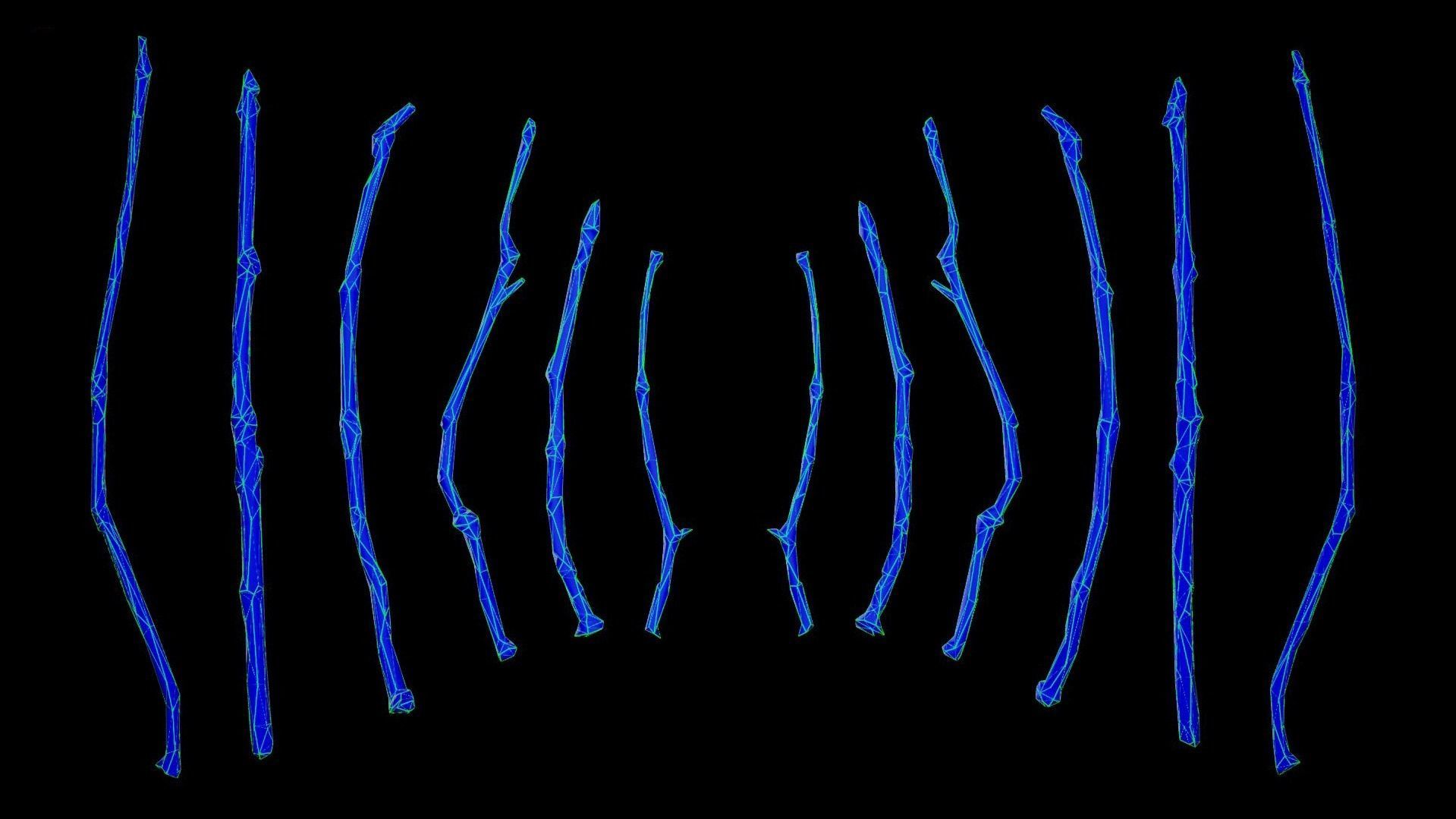 Oak Branches 4K Photoscanned Low-poly 3D model_15