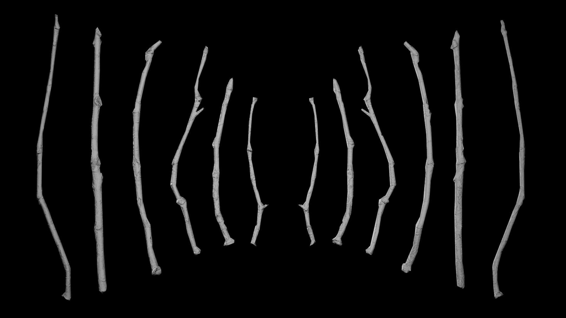 Oak Branches 4K Photoscanned Low-poly 3D model_10