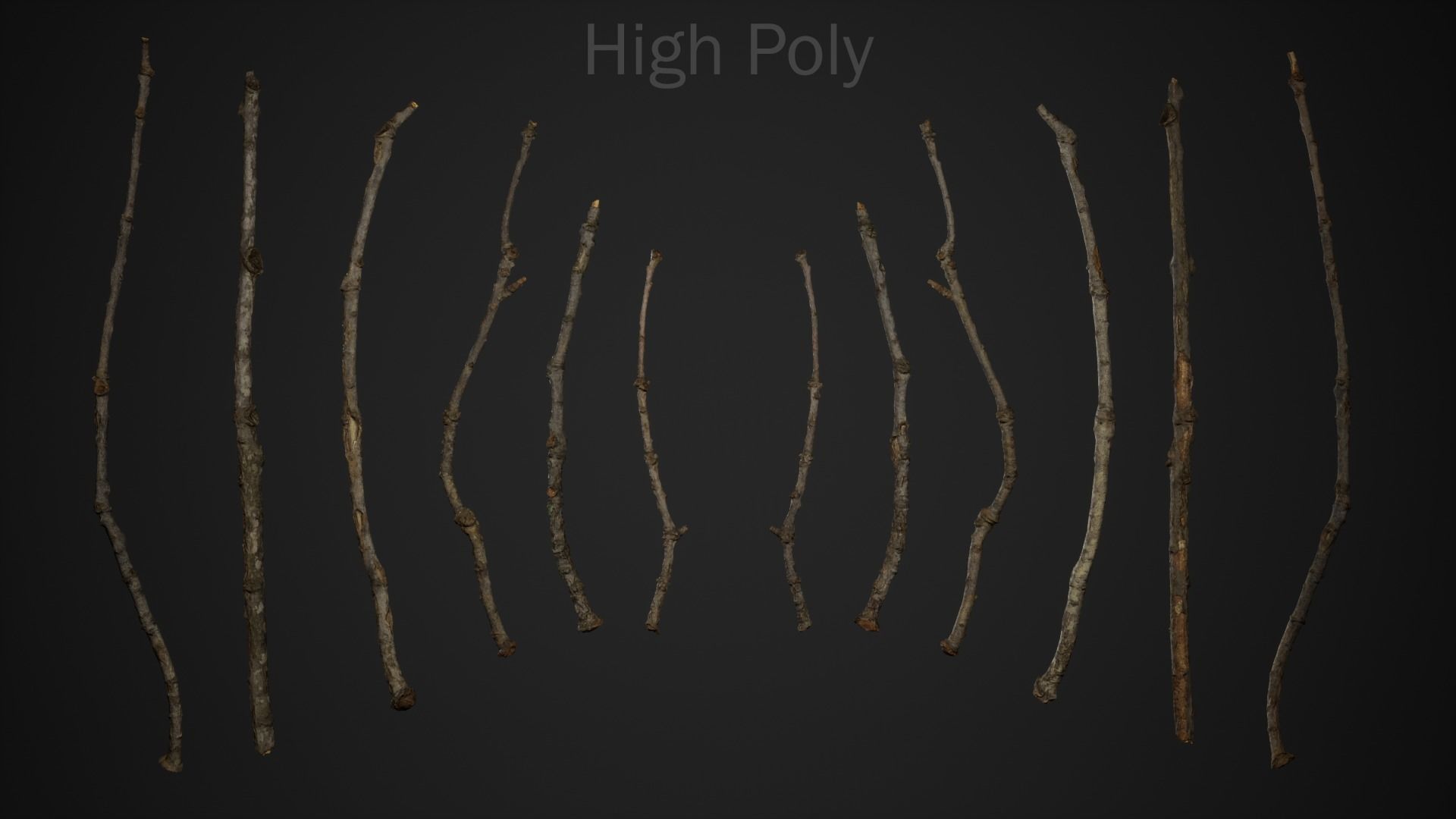 Oak Branches 4K Photoscanned Low-poly 3D model_1