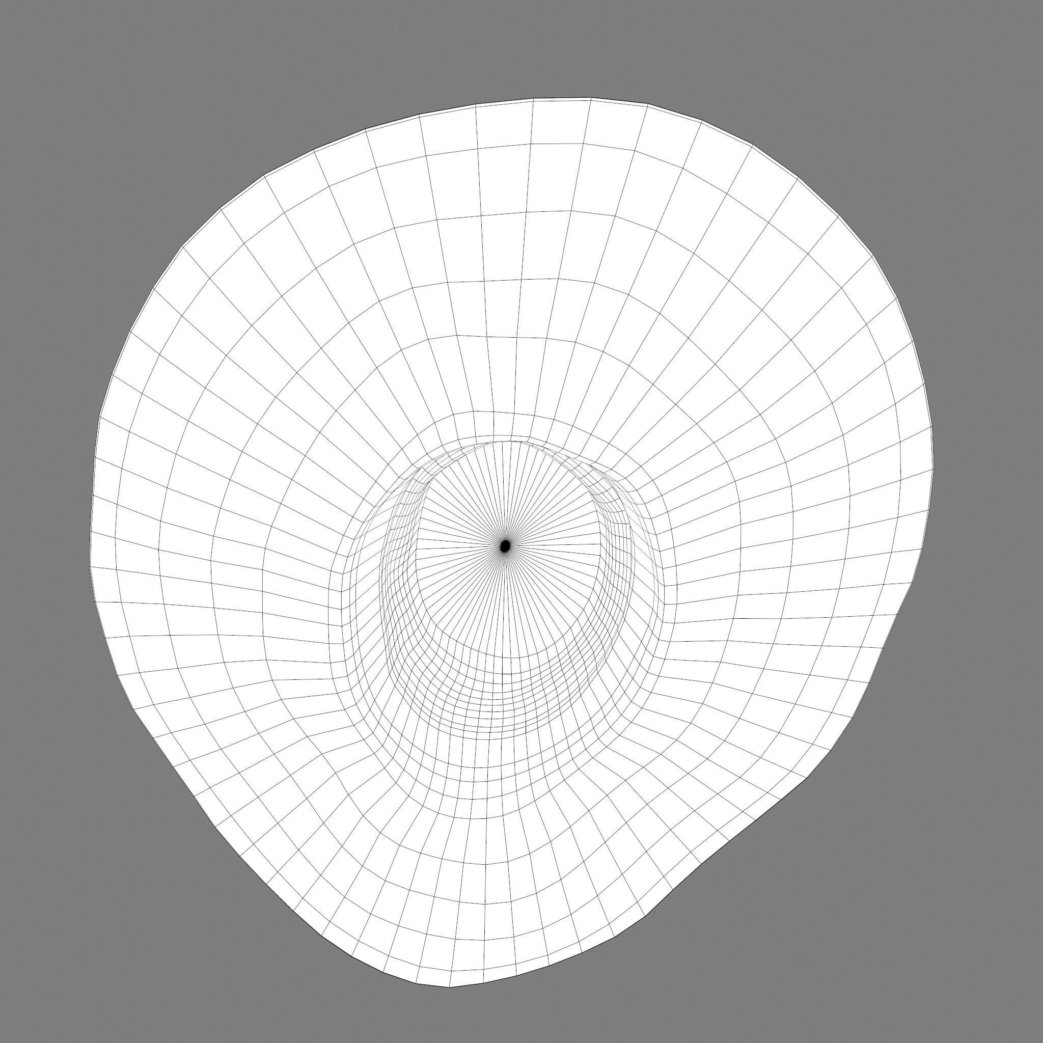 Witch Hat Low-poly 3D model_51