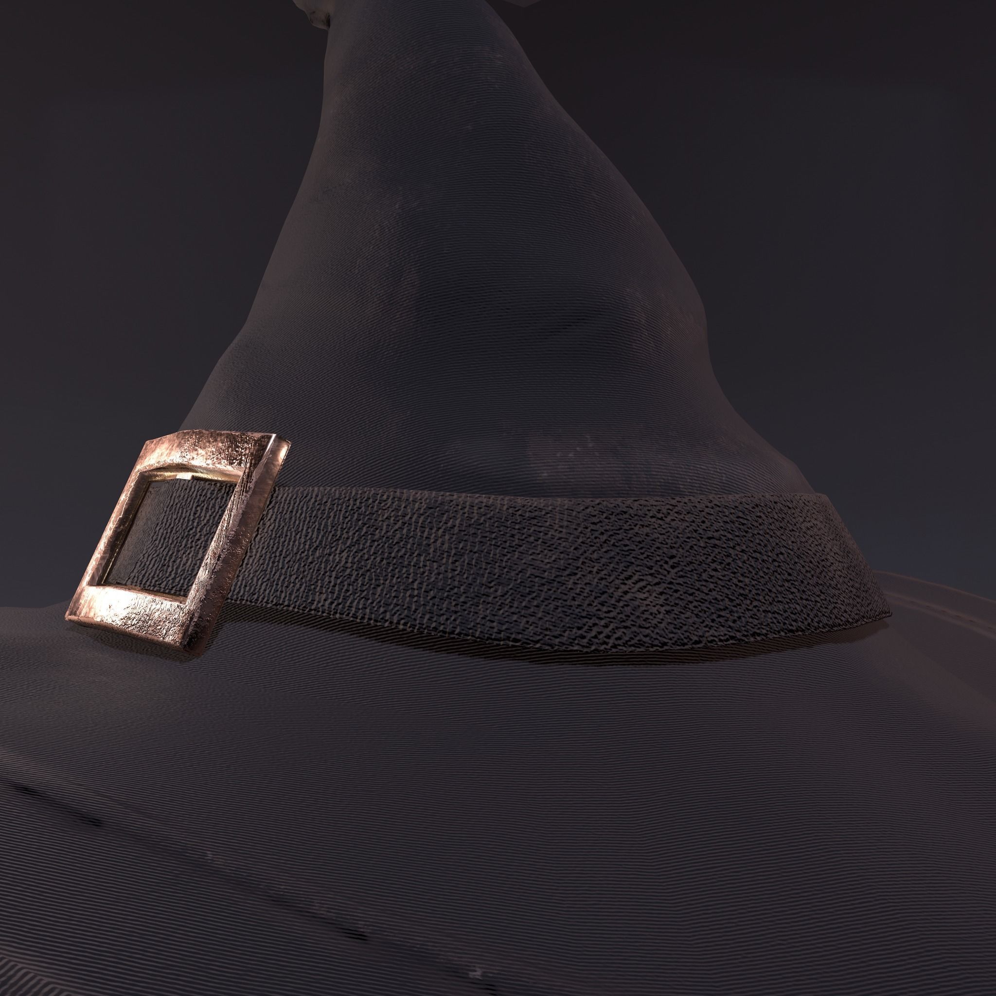 Witch Hat Low-poly 3D model_29