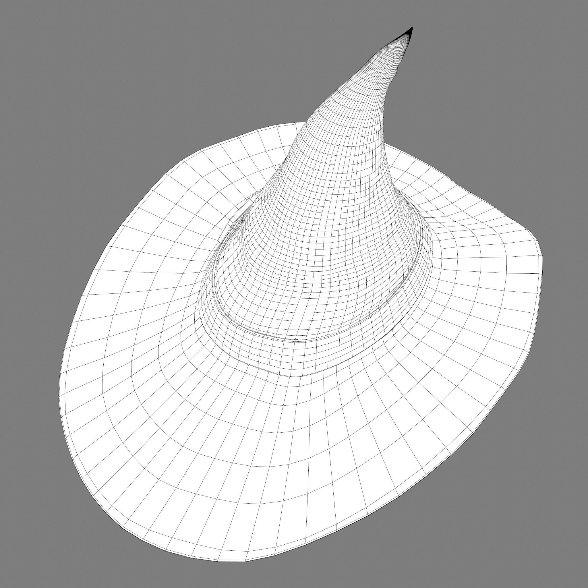 Witch Hat Low-poly 3D model_47
