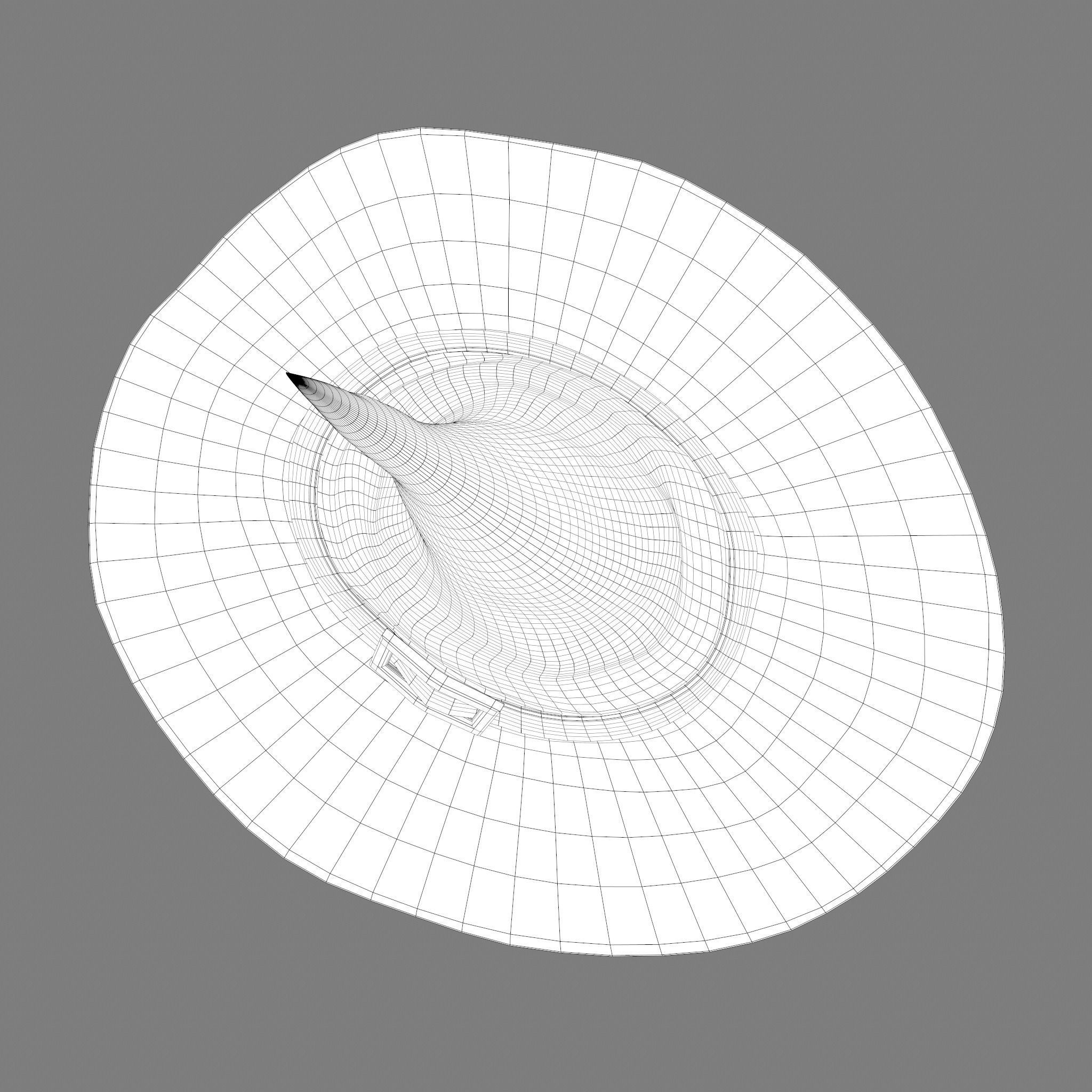 Witch Hat Low-poly 3D model_45