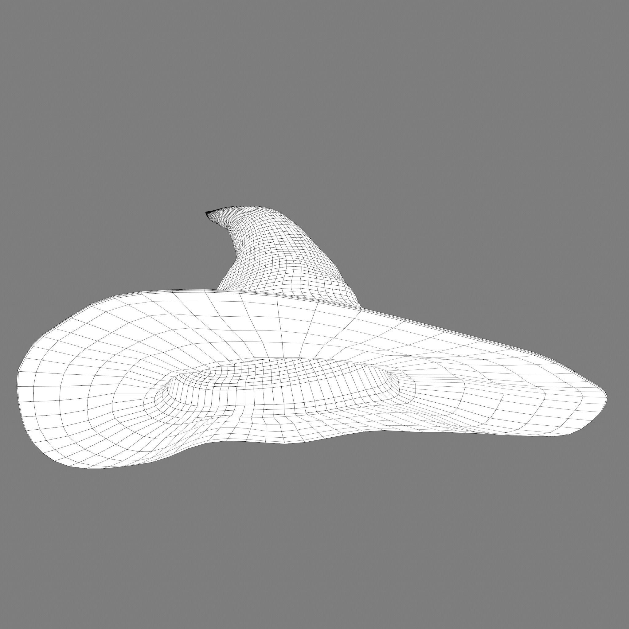 Witch Hat Low-poly 3D model_44