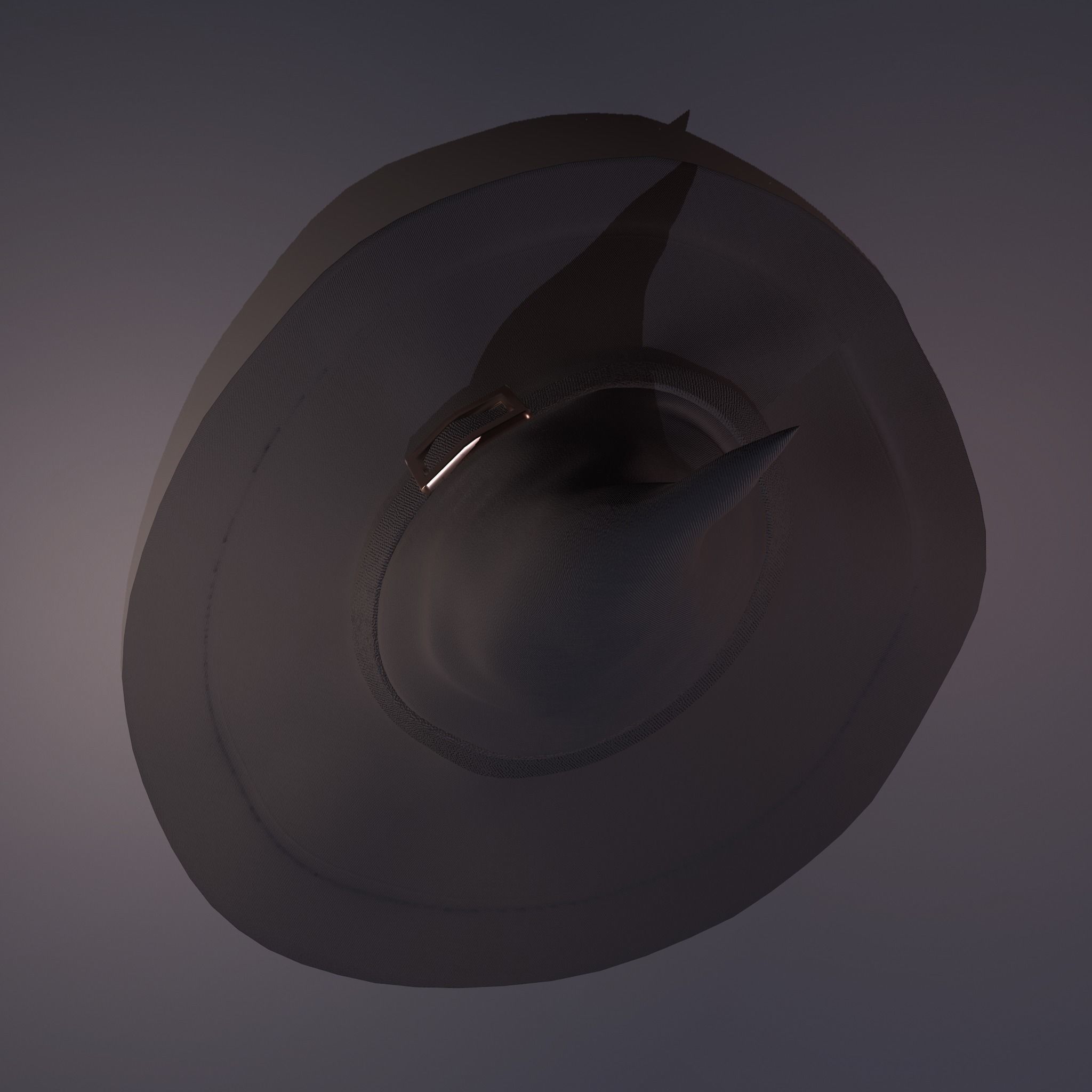 Witch Hat Low-poly 3D model_36