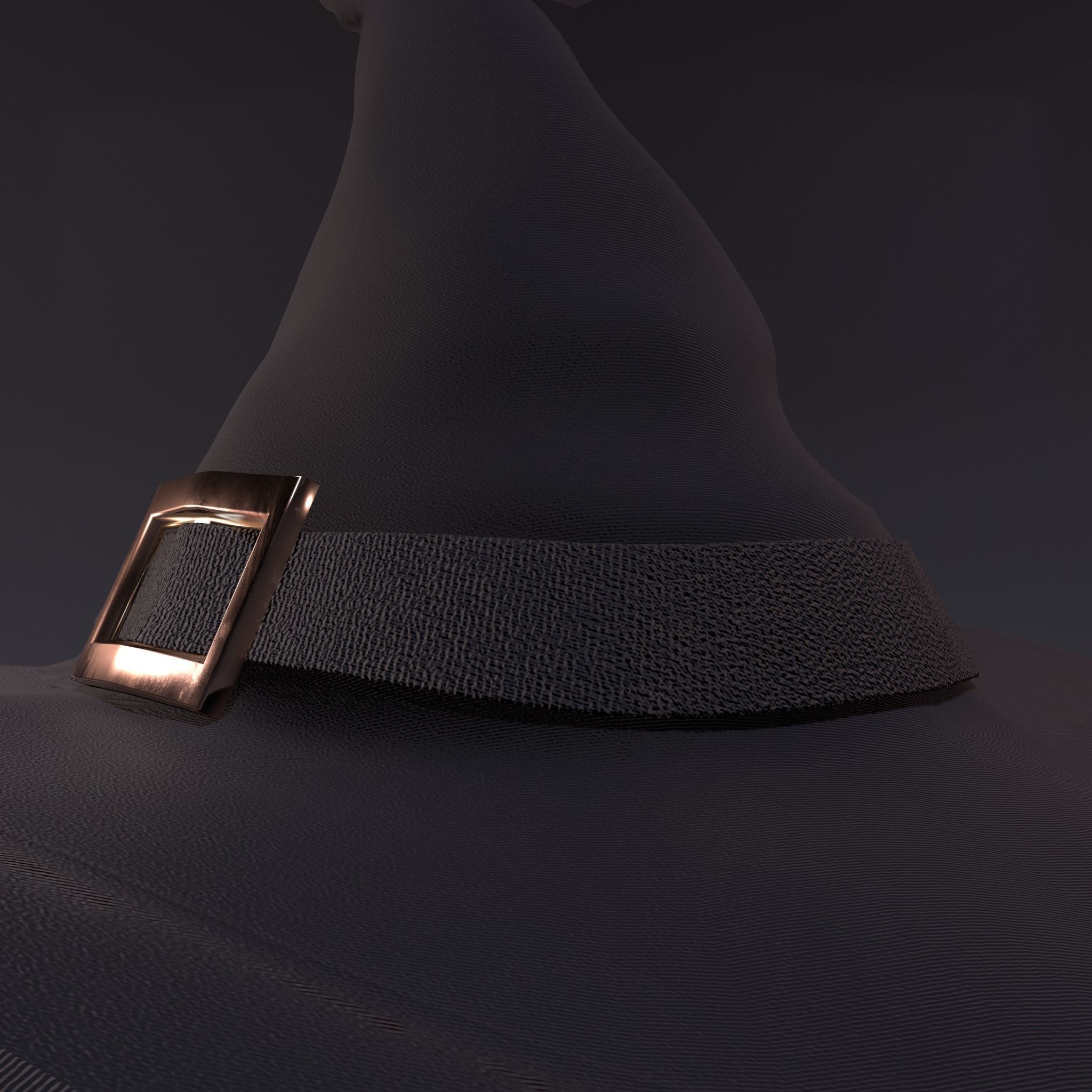 Witch Hat Low-poly 3D model_28