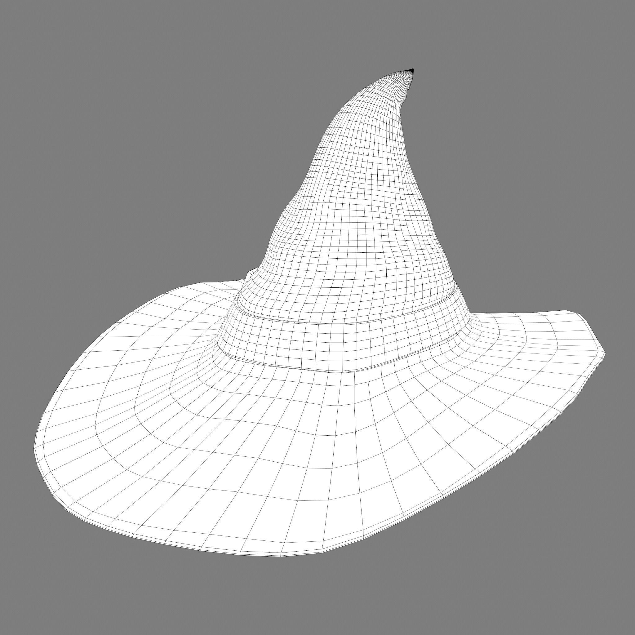 Witch Hat Low-poly 3D model_46