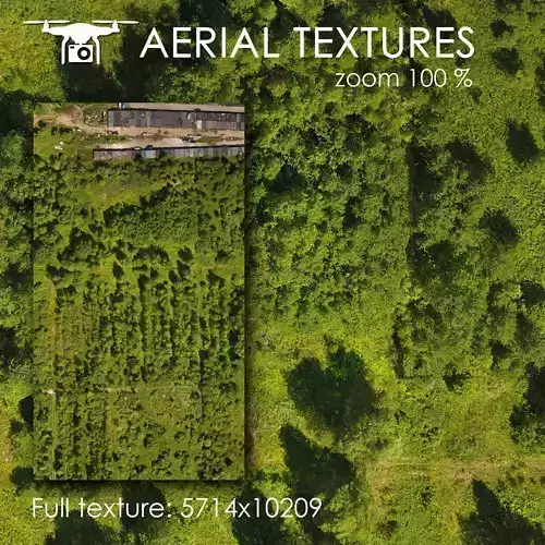 Aerial texture 301
