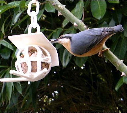 bird fat ball support 3D print model_4