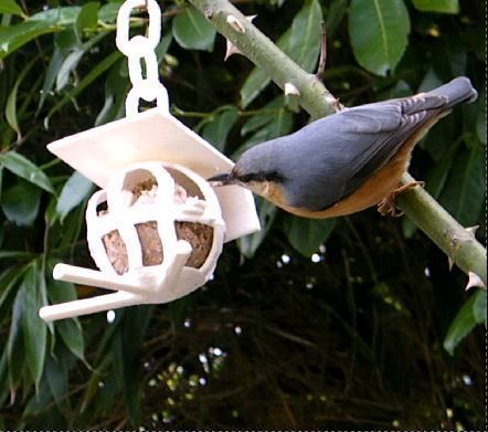 bird fat ball support 3D print model_1