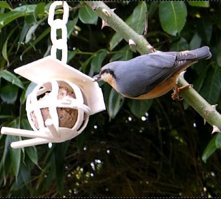 bird fat ball support 3D print model_3