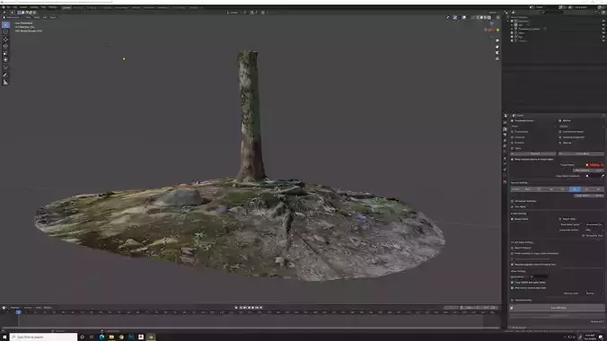 Tree Trunk Scan with Ground and Roots