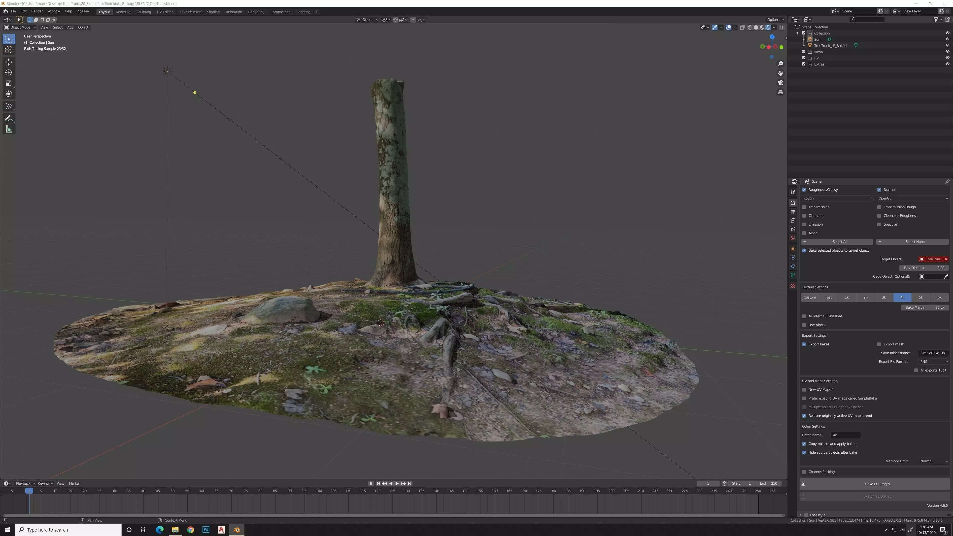 Tree Trunk Scan with Ground and Roots 3D model_0