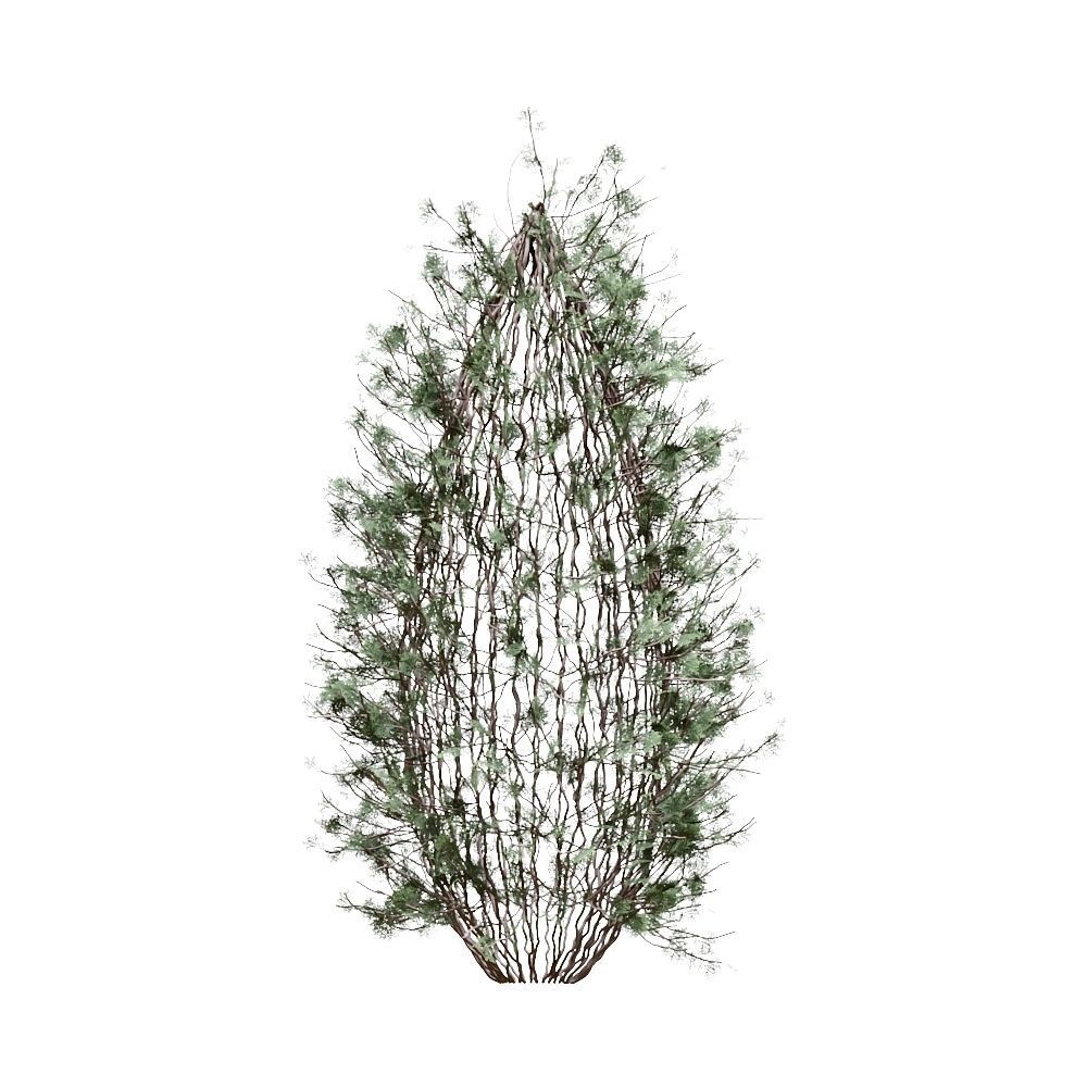 Thuja pack of 20 bushes 3d models Corona render 3D model_9
