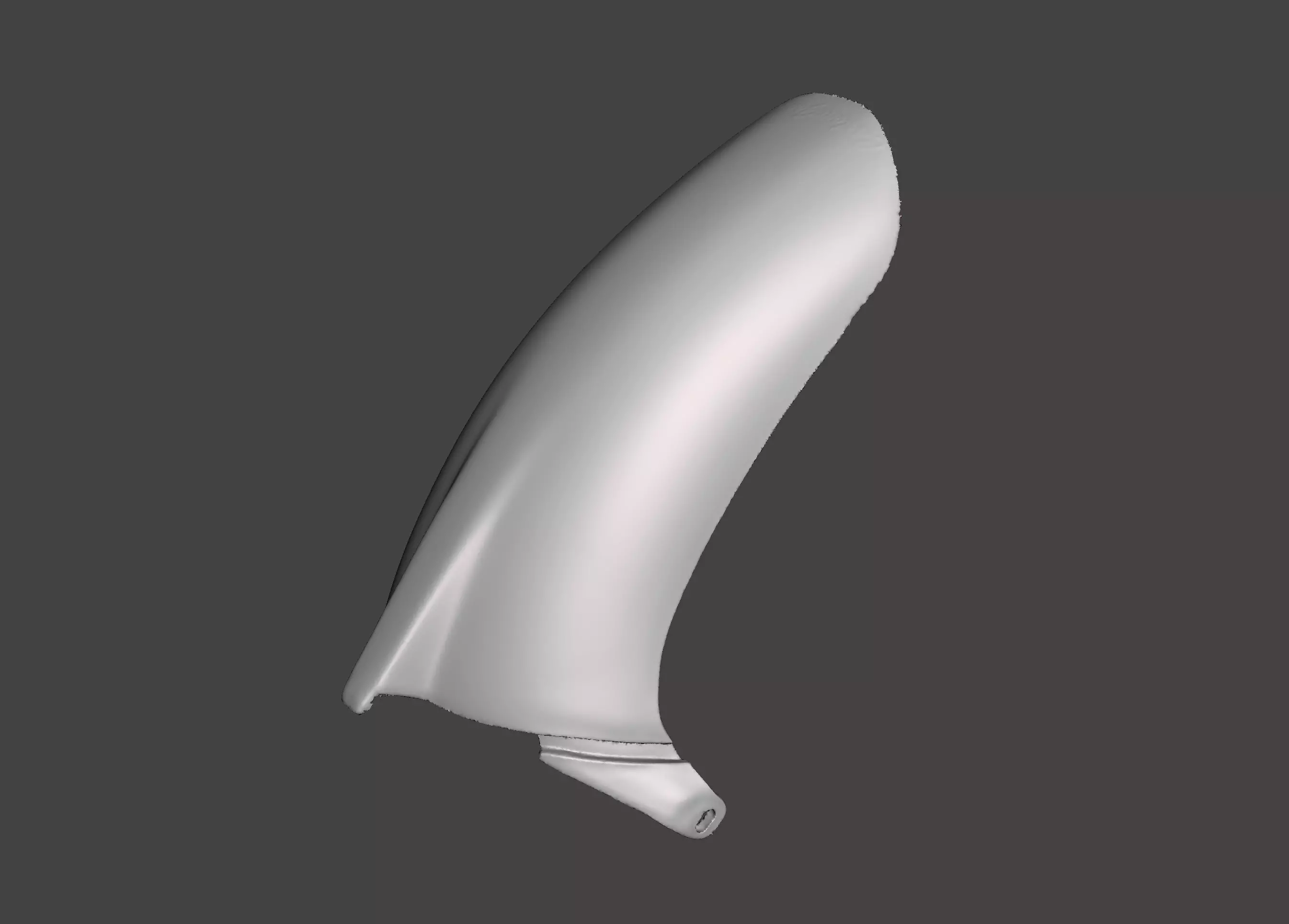 Aprilia Rs 125 Parafango anteriore - Front fender  3D print model_0