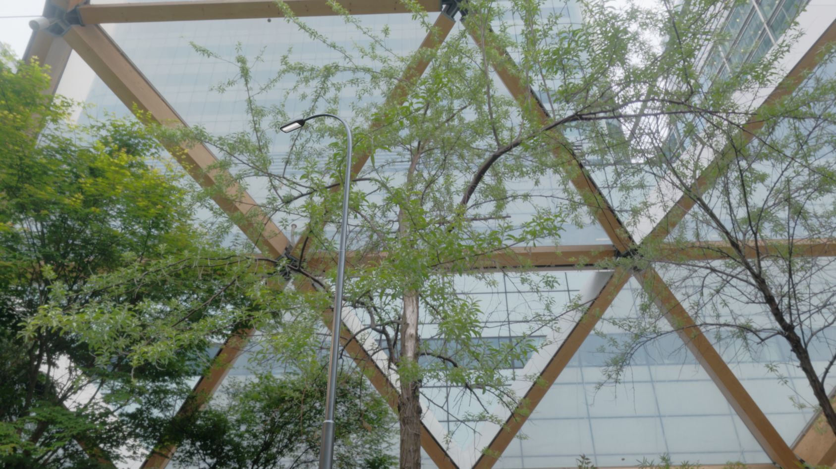 Street Light 11 version 15 10m with pole 1 Low-poly 3D model_27