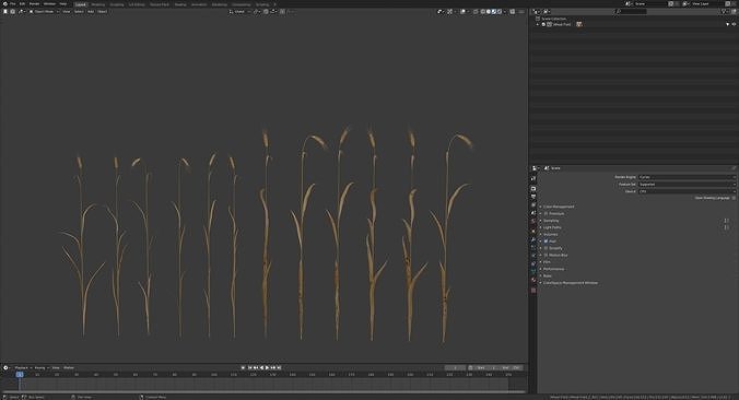 3D plant collection vol01 Wheat Field 3D model 5