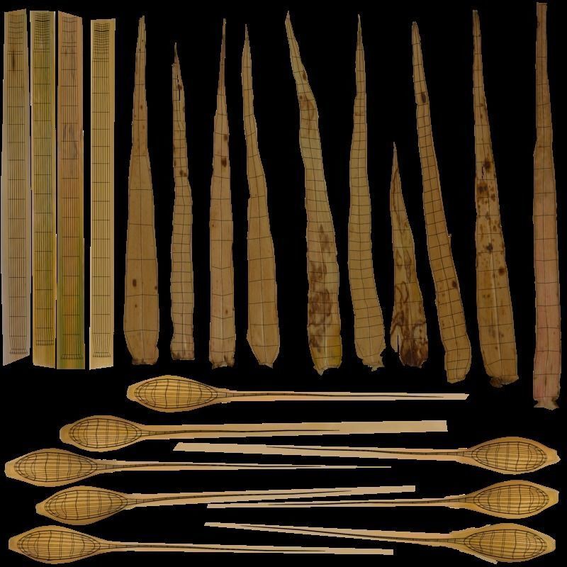 3D plant collection vol01 Wheat Field 3D model_7