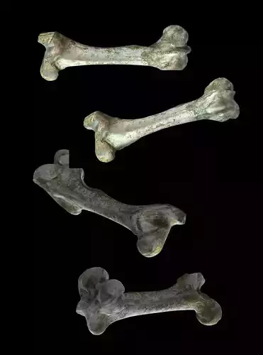 Old bone scan