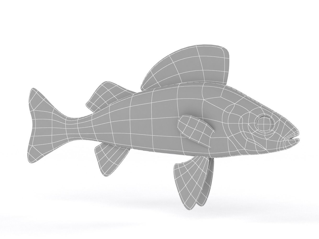 Perch Fish 3D model_6
