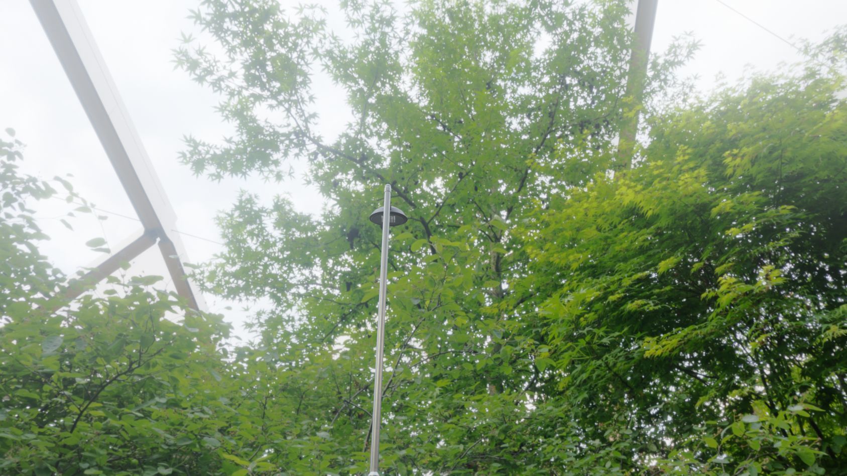 Street Light 15 version 6 5m with pole 2 Low-poly 3D model_81