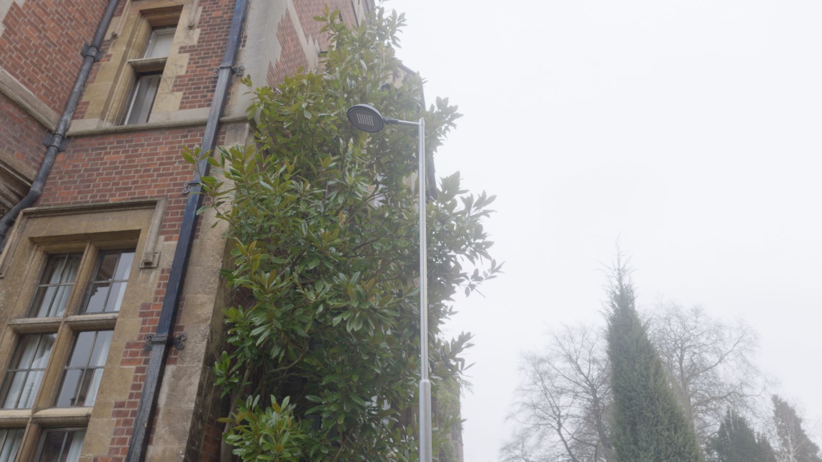 Street Light 15 version 6 5m with pole 2 Low-poly 3D model_73