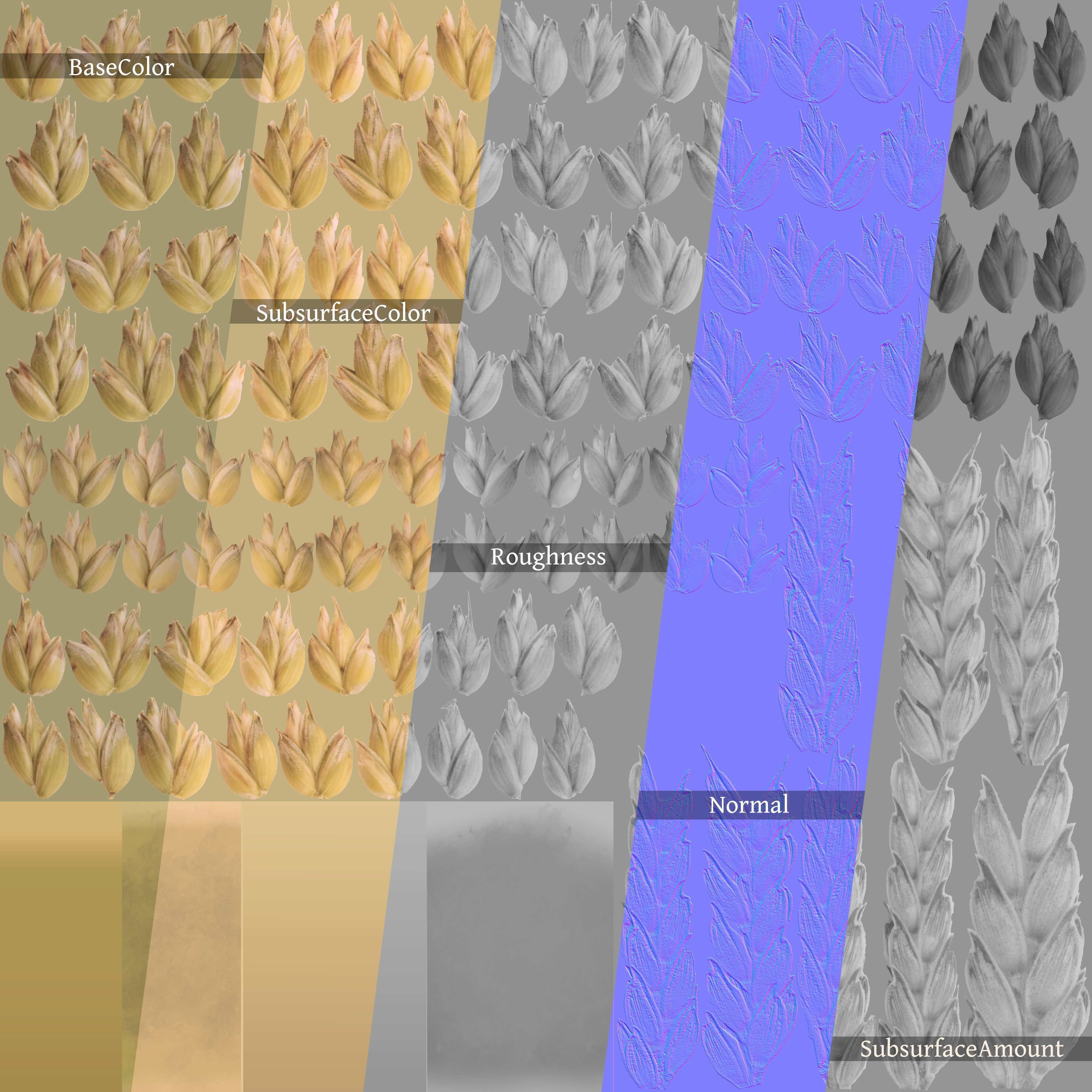 3D Barley Collection vol02 3D model_8