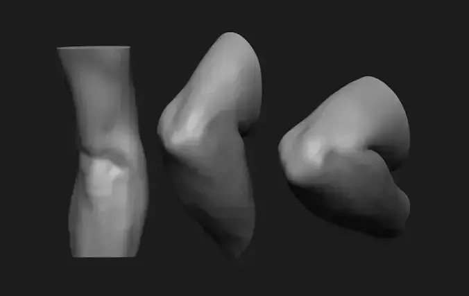 Elbow Set Anatomy Reference 3D print model