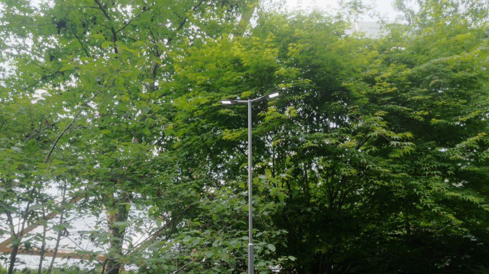 Street Light 12 version 7 5m with pole 2 Low-poly 3D model_97