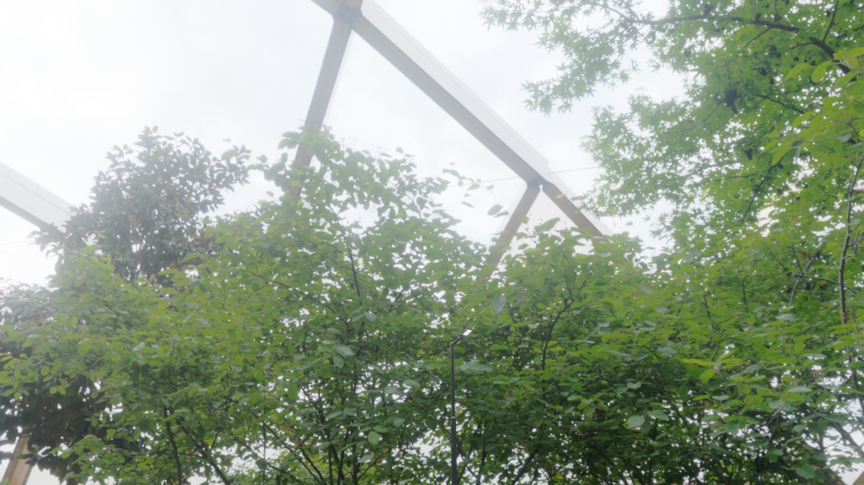 Street Light 12 version 1 3m with pole 3 Low-poly 3D model_22