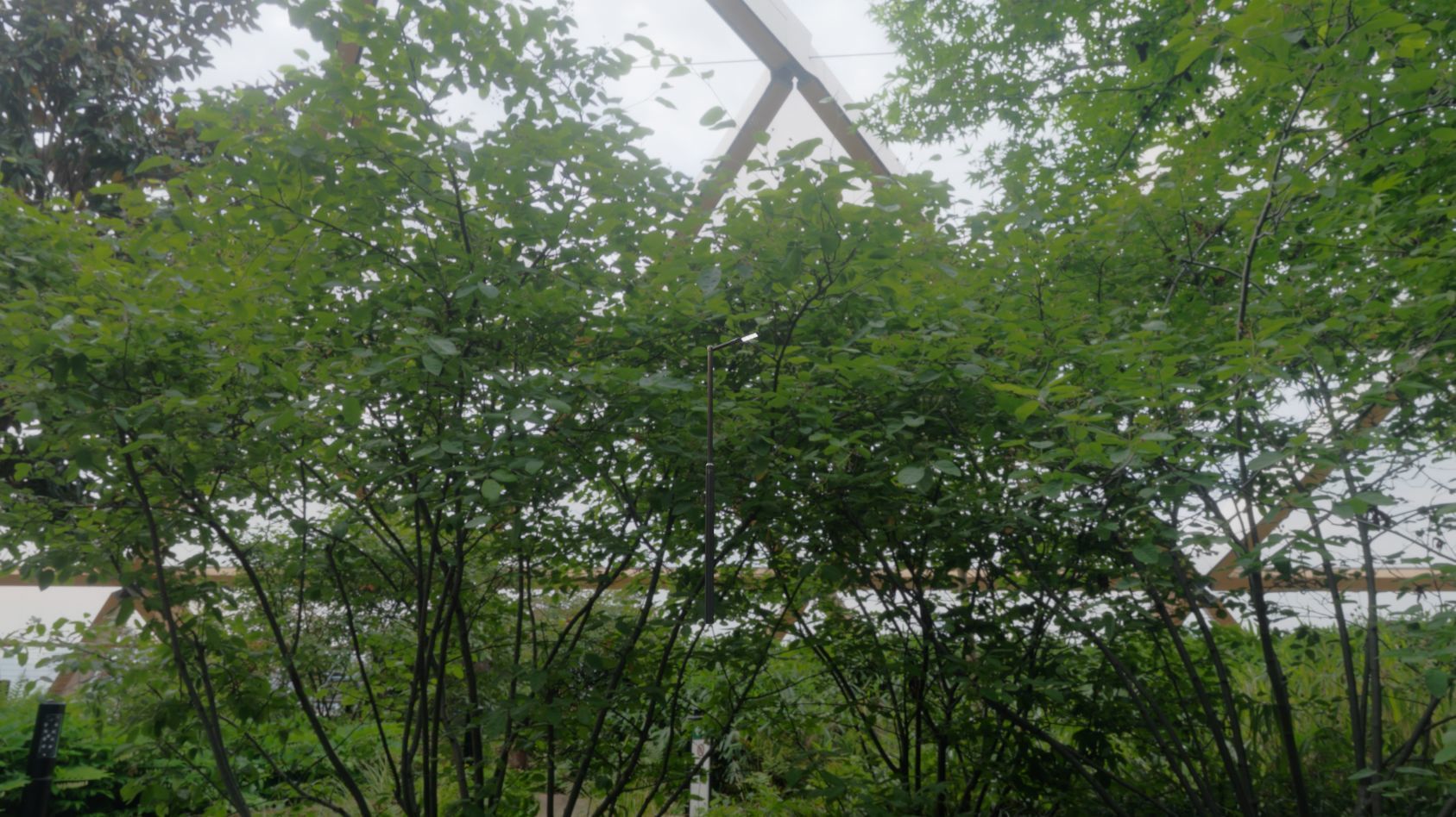 Street Light 12 version 1 3m with pole 3 Low-poly 3D model_52