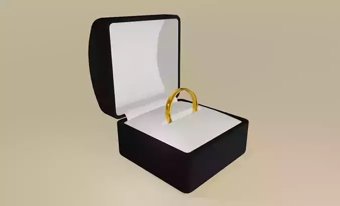 Gold Ring and Box 01 - Alianca anel ouro