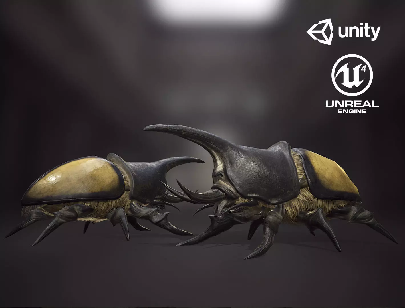 Rhinoceros beetle - Game Ready Low-poly 3D model Low-poly 3D model_0