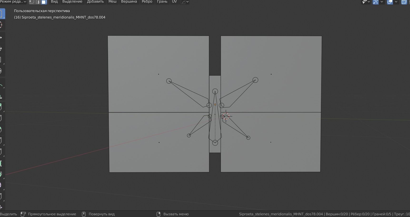 BUTTERFLY ANIMATION Low-poly 3D model_5