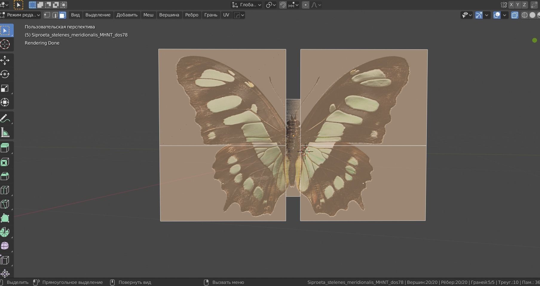 BUTTERFLY ANIMATION Low-poly 3D model_2