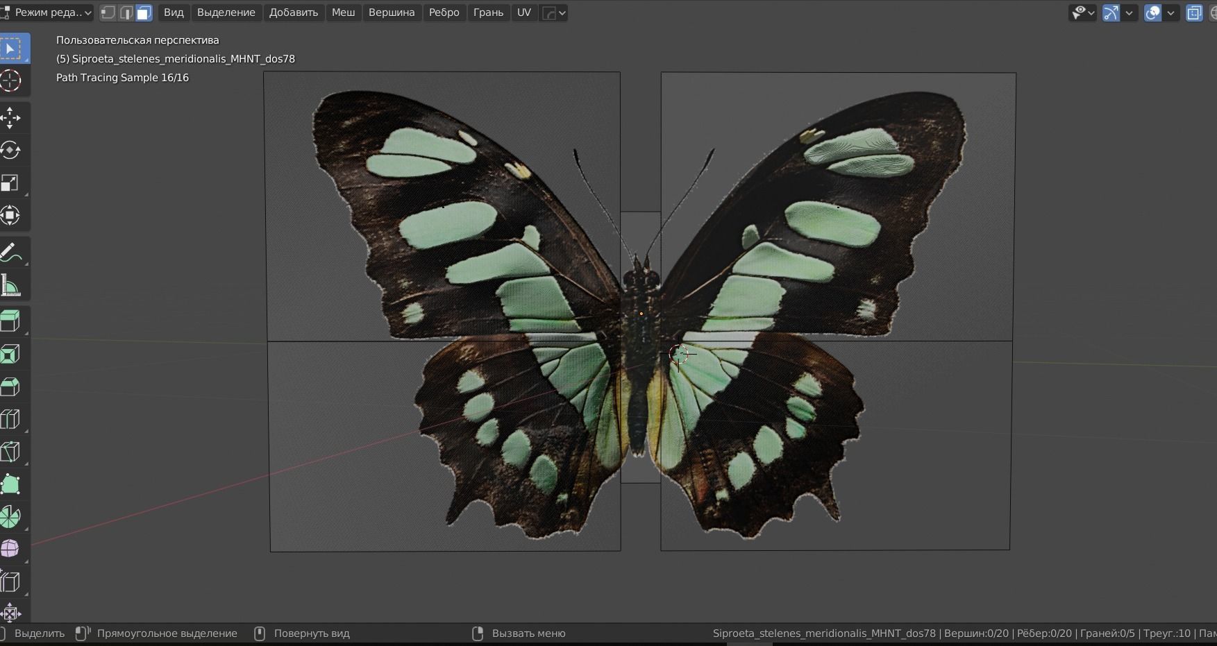 BUTTERFLY ANIMATION Low-poly 3D model_3