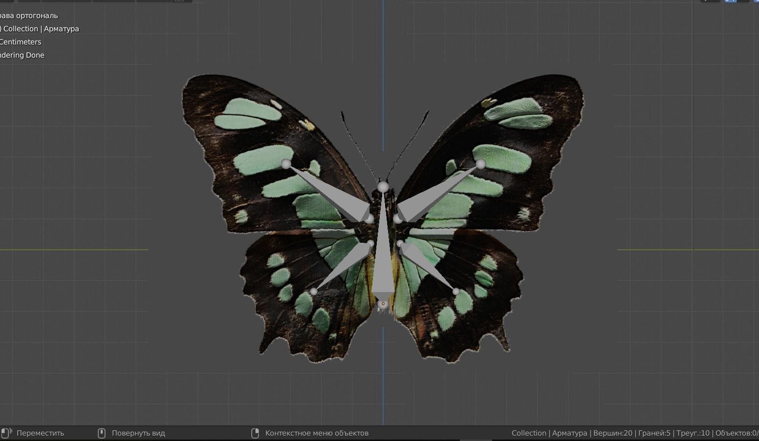 BUTTERFLY ANIMATION Low-poly 3D model_6