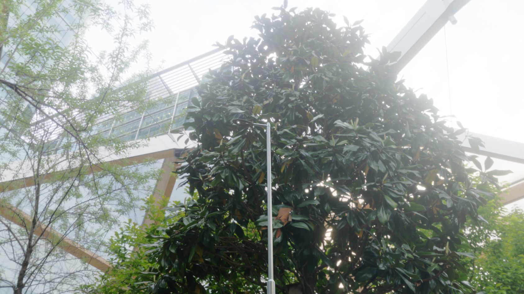 Sci-Fi Street Light 14 version 6 5m with pole 2 Low-poly 3D model_109