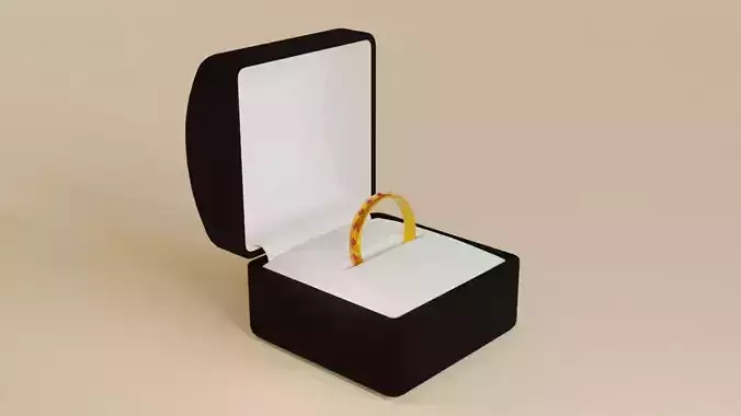 Gold Ring with Ruby Stone and Box - Anel de Ouro e Rubi